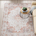 Traditional Persian Style Washable Boho Light Grey Red Area Rug