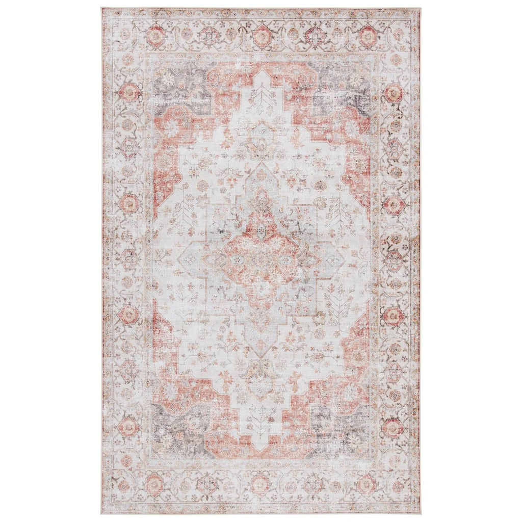 Traditional Persian Style Washable Boho Light Grey Red Area Rug