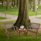 3 Piece Wooden Rattan Outdoor Patio Furniture Chair Table Bistro Set