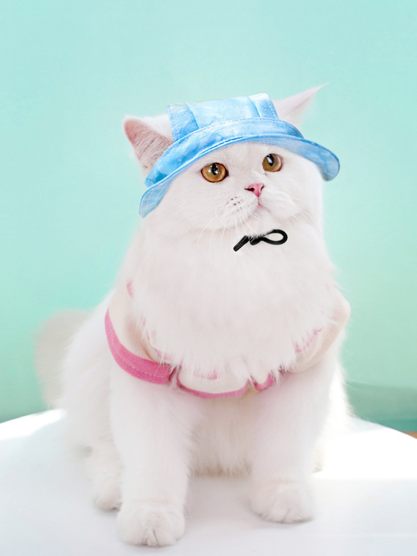 ac89ea358bc5475d91175a36788481d1-Max