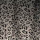 Leopard Tie Shoulder Swimwear and Skirt Swim Set