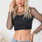 Pearl Long Sleeve Mesh Cropped Top