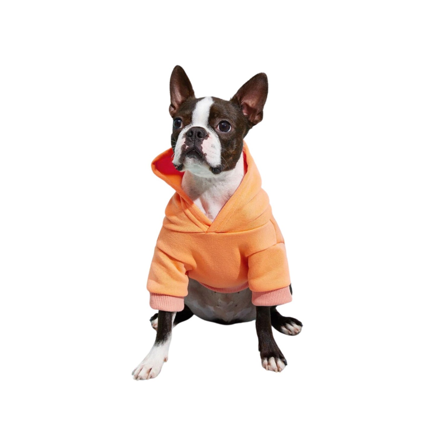 Adorable Pets Fleece Lined Pet Hoodie in Multiple Shades