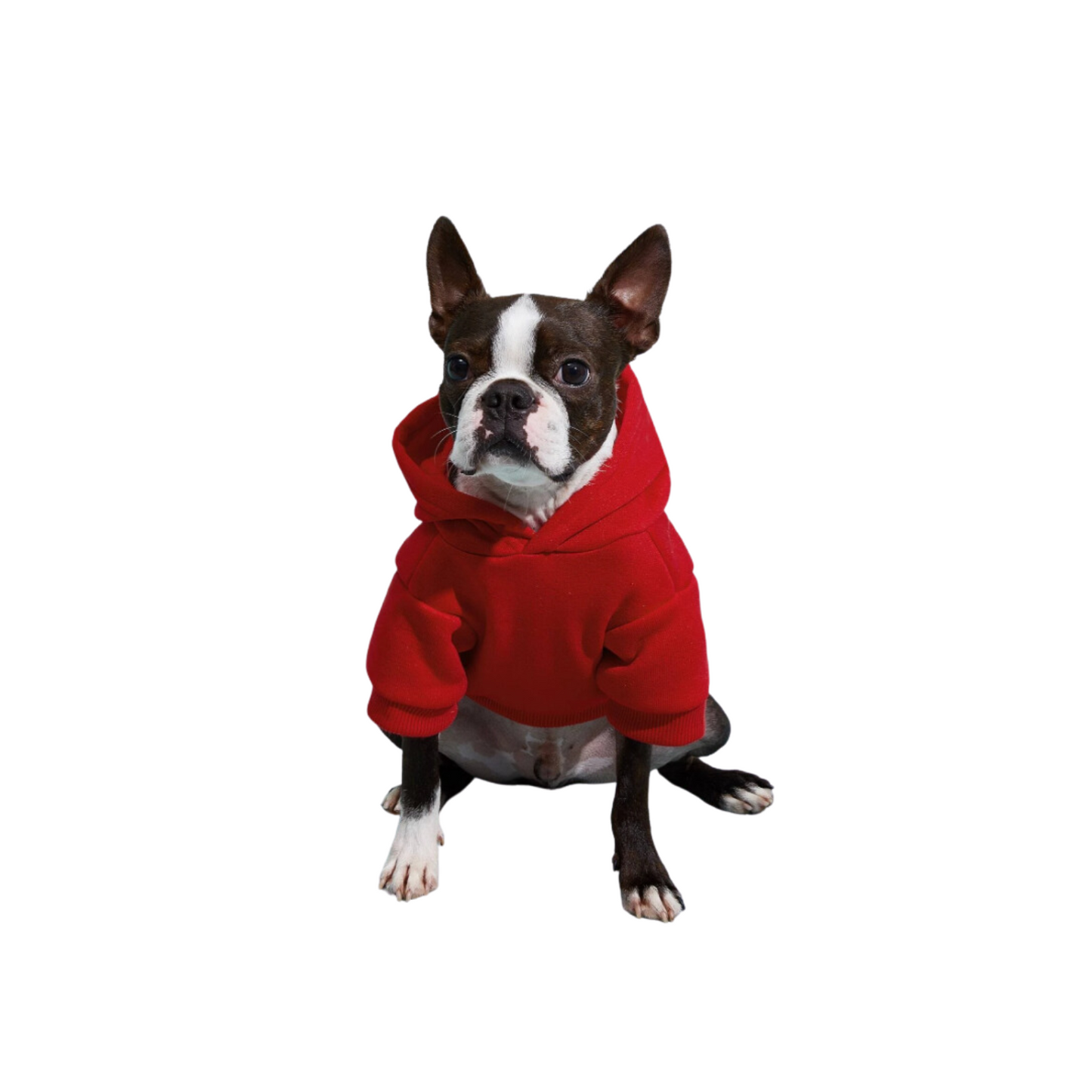 Adorable Pets Fleece Lined Pet Hoodie in Multiple Shades