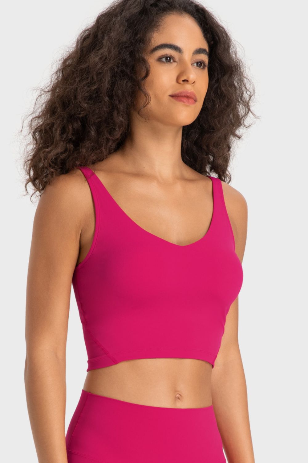 Deep V-Neck Crop Sports Bra in Assorted Colors