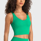 Deep V-Neck Crop Sports Bra in Assorted Colors