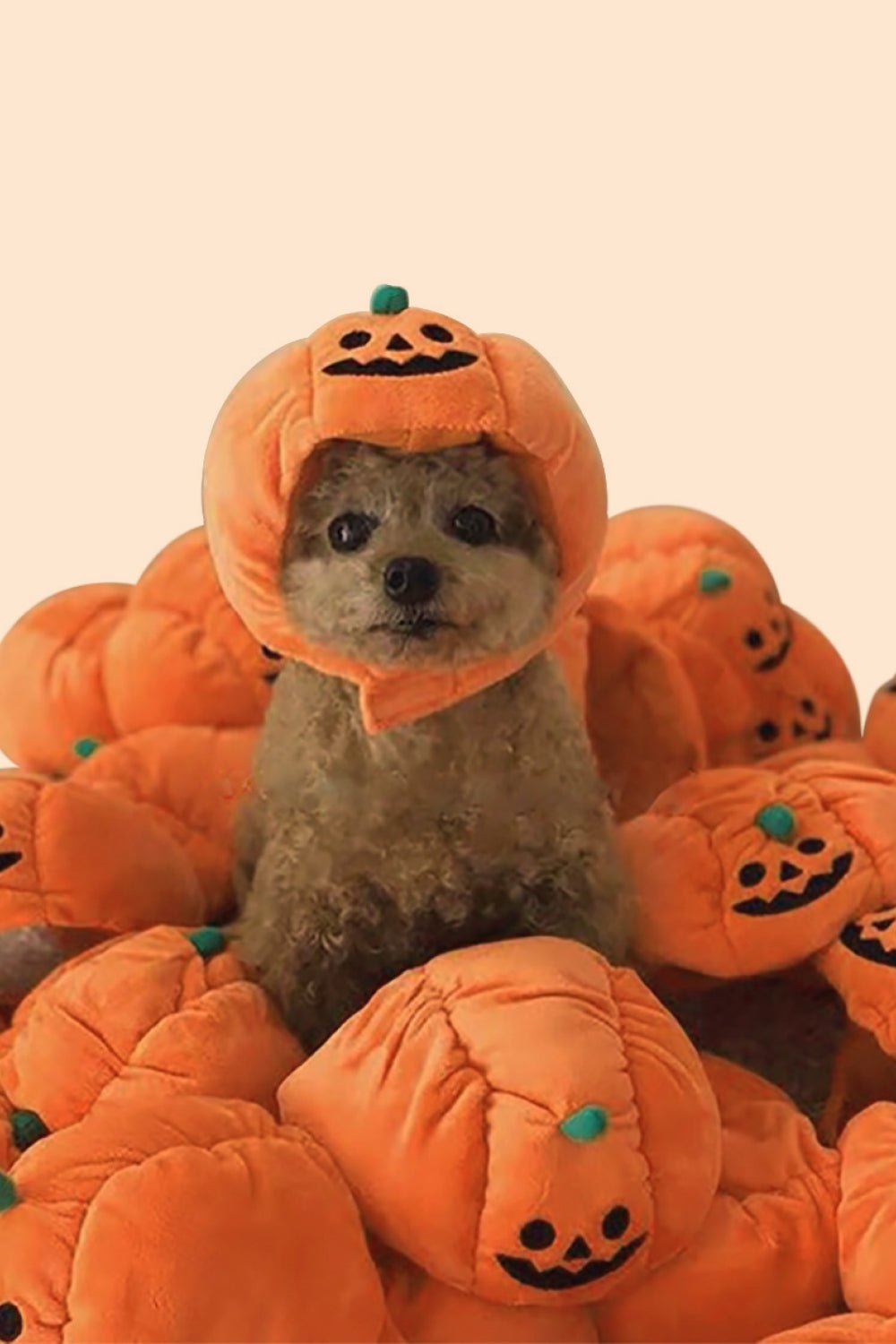 Halloween Pet Jack-O-Lantern Costume Hat