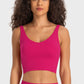 Deep V-Neck Crop Sports Bra in Assorted Colors