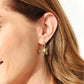 Adored Butterfly Stainless Steel Gold Earrings