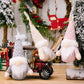 Winter Christmas Assorted 2-Piece Faceless Gnome Hanging Widgets