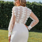 EillyBazar Lace Crewneck Long Sleeve Bodycon Dress