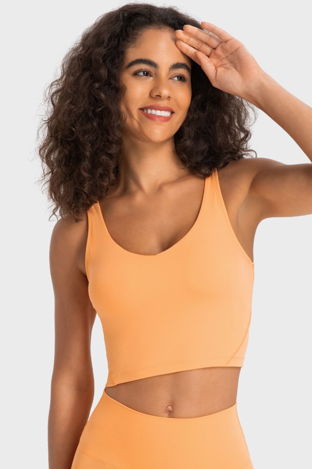 Deep V-Neck Crop Sports Bra in Assorted Colors