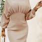 Ruched Lantern Sleeve Dress