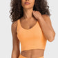 Deep V-Neck Crop Sports Bra in Assorted Colors