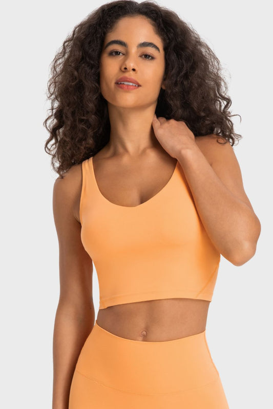 Deep V-Neck Crop Sports Bra in Assorted Colors