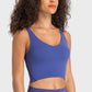 Deep V-Neck Crop Sports Bra in Assorted Colors