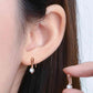 Moissanite 925 Sterling Silver Earrings