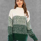 Color Block Turtleneck Sweater