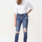 Lovervet Hayden Full Size High Rise Skinny Jeans