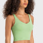 Deep V-Neck Crop Sports Bra in Assorted Colors