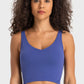 Deep V-Neck Crop Sports Bra in Assorted Colors