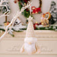 Winter Christmas Assorted 2-Piece Faceless Gnome Hanging Widgets