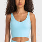 Deep V-Neck Crop Sports Bra in Assorted Colors