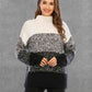 Color Block Turtleneck Sweater