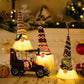 Assorted Christmas 2-Piece Light-Up Gnome Hanging Widgets Ornaments